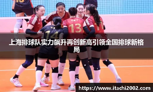 上海排球队实力飙升再创新高引领全国排球新格局