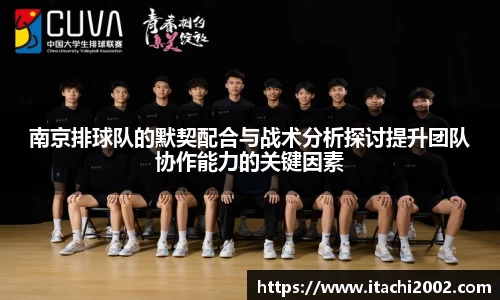 南京排球队的默契配合与战术分析探讨提升团队协作能力的关键因素